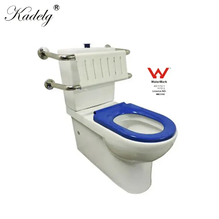 Bồn cầu gốm đôi chuyên dùng cho người khuyết tật, phong cách thiết kế phù hợp với tiêu chuẩn Úc