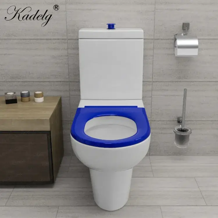 Bồn cầu gốm đôi chuyên dùng cho người khuyết tật, phong cách thiết kế phù hợp với tiêu chuẩn Úc