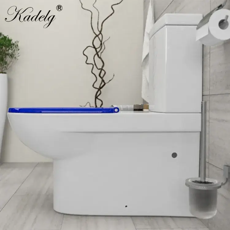 Bồn cầu gốm đôi chuyên dùng cho người khuyết tật, phong cách thiết kế phù hợp với tiêu chuẩn Úc