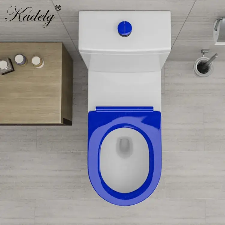 Bồn cầu gốm đôi chuyên dùng cho người khuyết tật, phong cách thiết kế phù hợp với tiêu chuẩn Úc