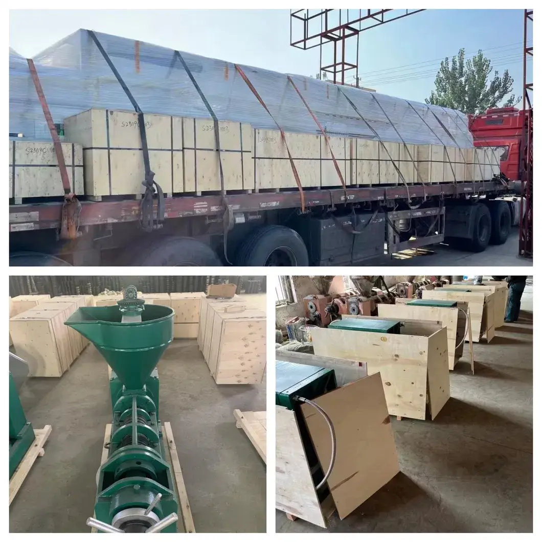Máy ép dầu tự động cho hạt thực vật, đậu nành - Máy ép dầu lạnh hiệu suất cao hình ảnh 23-description