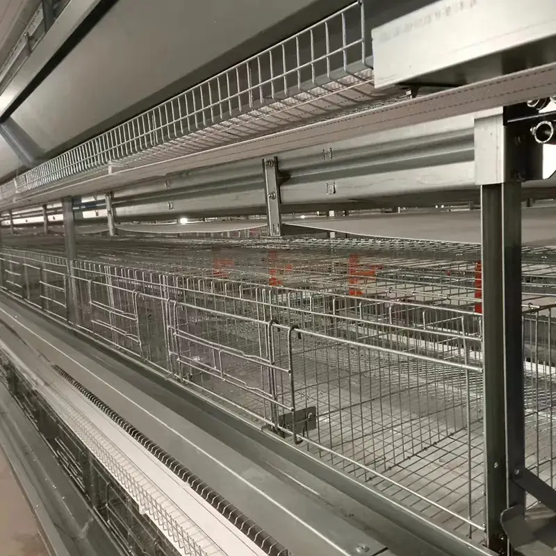 Giải pháp tự động hóa cho chuồng nuôi gia cầm: Thiết bị tiện lợi cho chăn nuôi gà đẻ hình ảnh 14-description