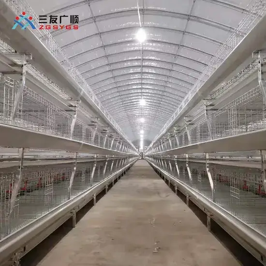 Giải pháp tự động hóa cho chuồng nuôi gia cầm: Thiết bị tiện lợi cho chăn nuôi gà đẻ