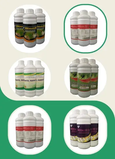 Thuốc Thú Y Dạng Lỏng Vitamin B Complex - Sản Phẩm Số Lượng Lớn với Mức Giá Ưu Đãi