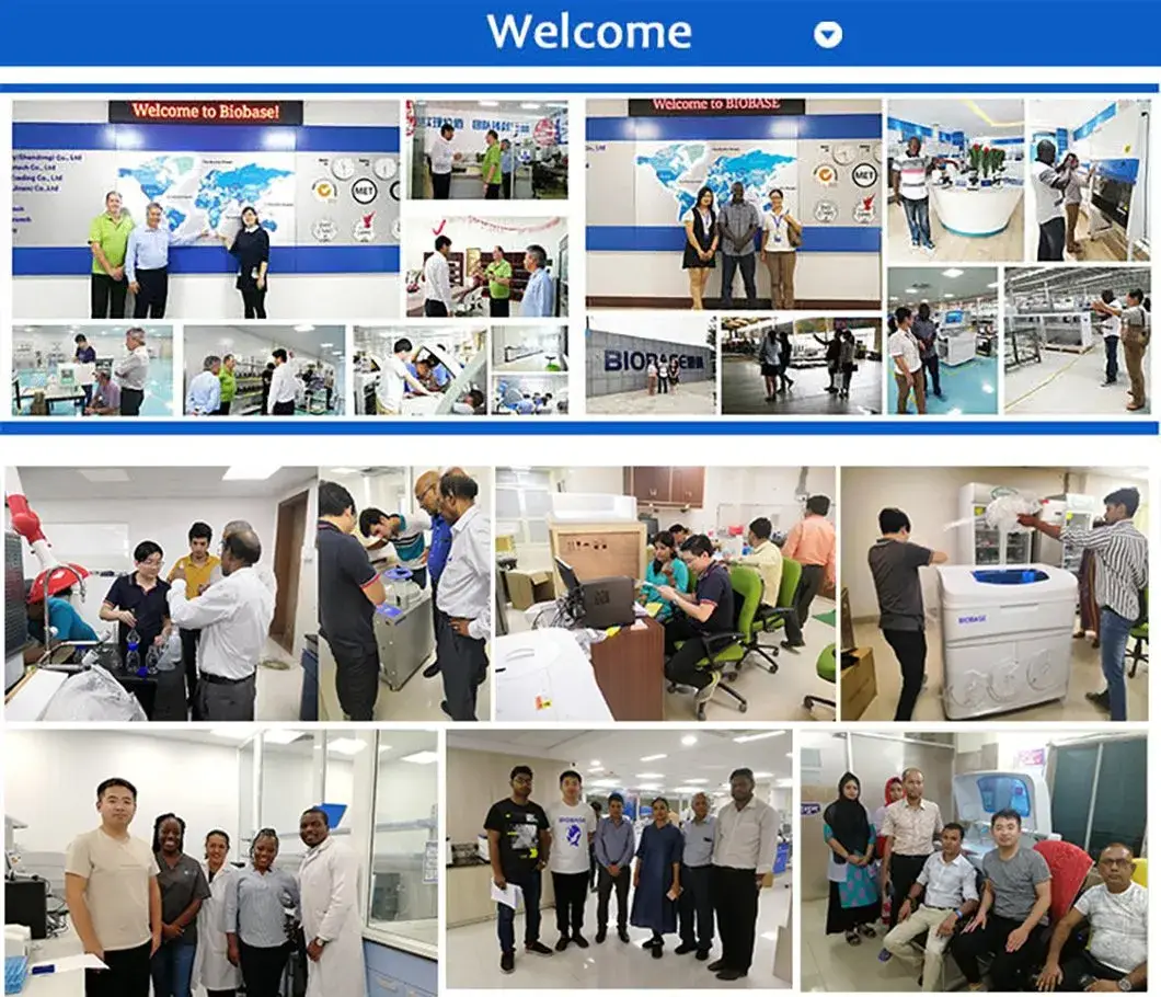 Máy sấy chân không trái cây Biobase - Giải pháp làm khô thực phẩm hiệu quả hình ảnh 20-description