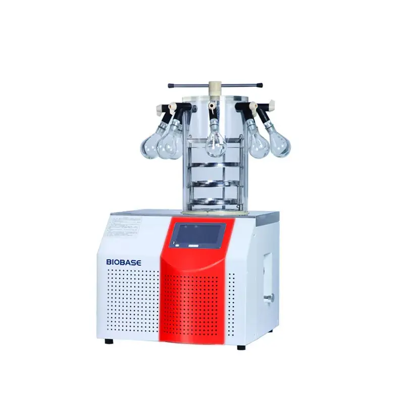 Máy sấy chân không trái cây Biobase - Giải pháp làm khô thực phẩm hiệu quả