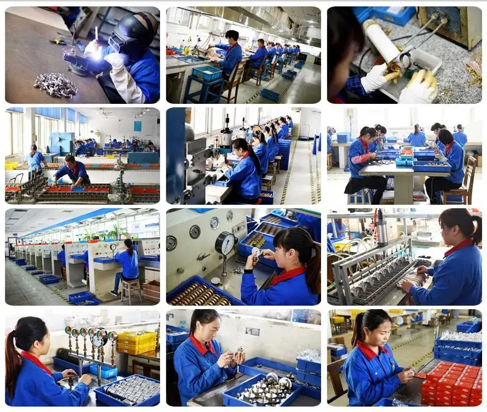 Đồng hồ áp suất đo đáy với thân thép không gỉ và chất lượng cao hình ảnh 3-description