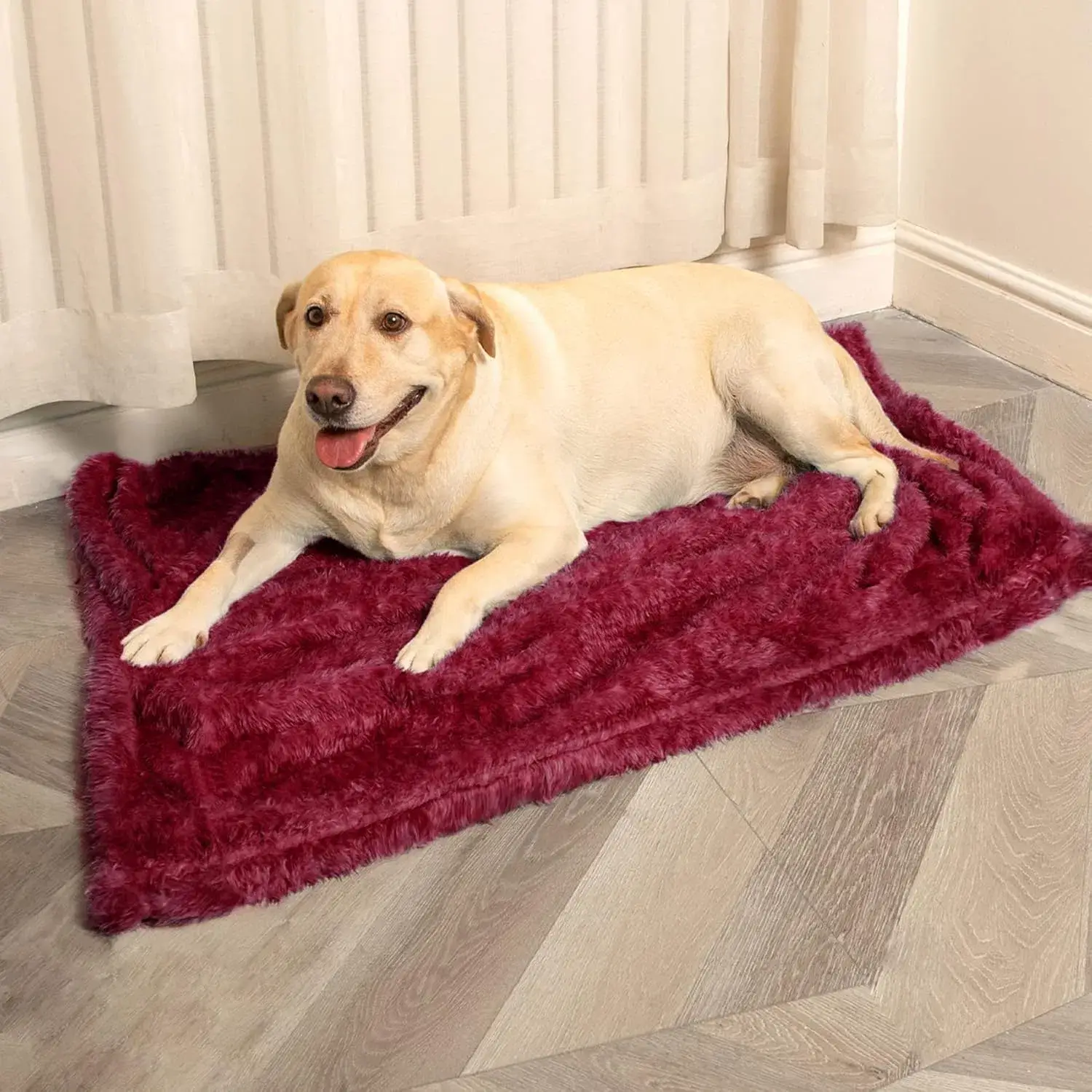 Chăn chó Brighthomey từ cotton hữu cơ chống gây dị ứng, tĩnh điện và lông, màu be
