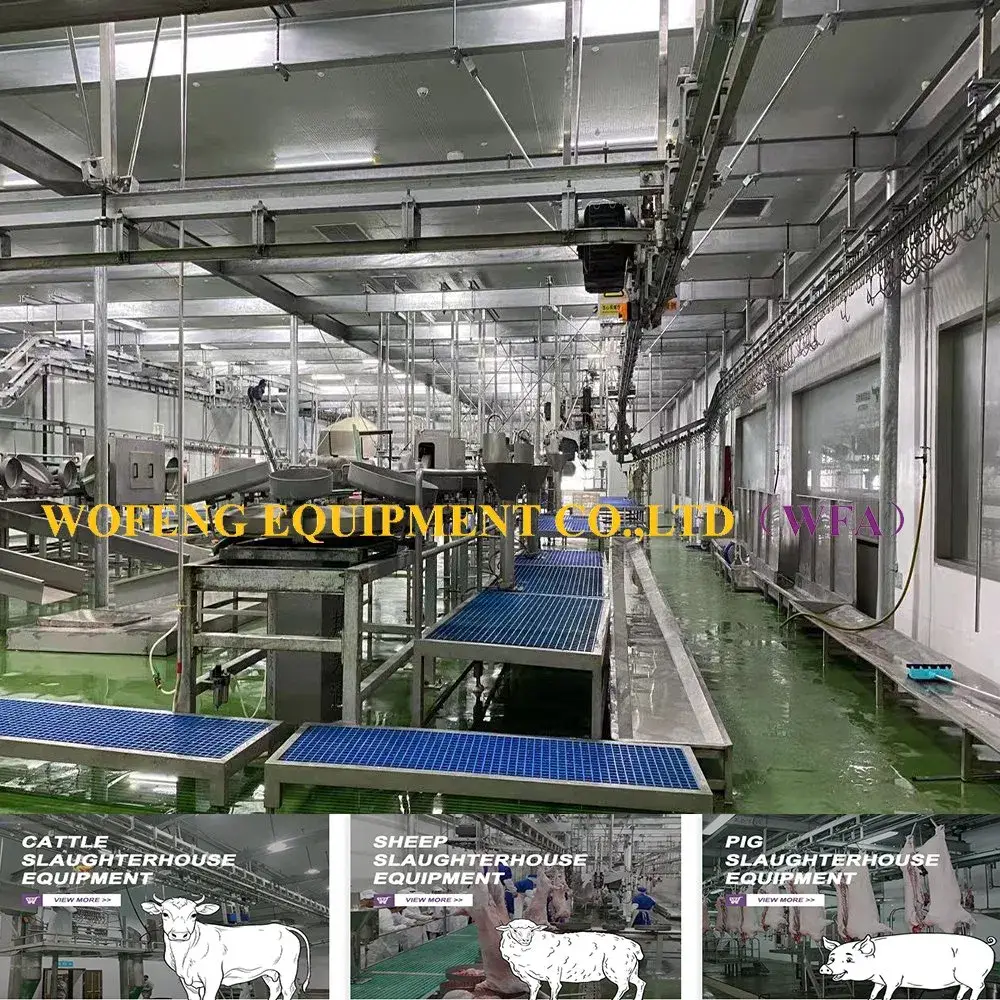 Giải pháp thiết bị chuyên biệt cho quy trình chế biến thịt cừu tại nhà máy mổ giết