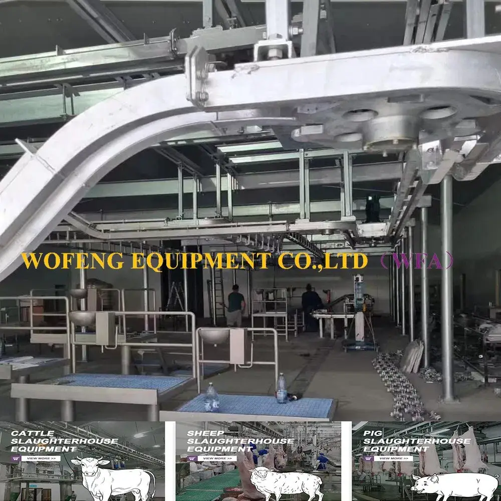 Giải pháp thiết bị chuyên biệt cho quy trình chế biến thịt cừu tại nhà máy mổ giết