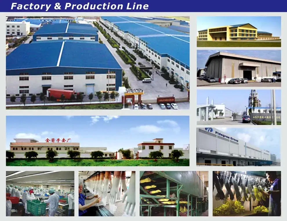 Găng tay latex cao su sử dụng một lần, đạt tiêu chuẩn CE hình ảnh 4-description