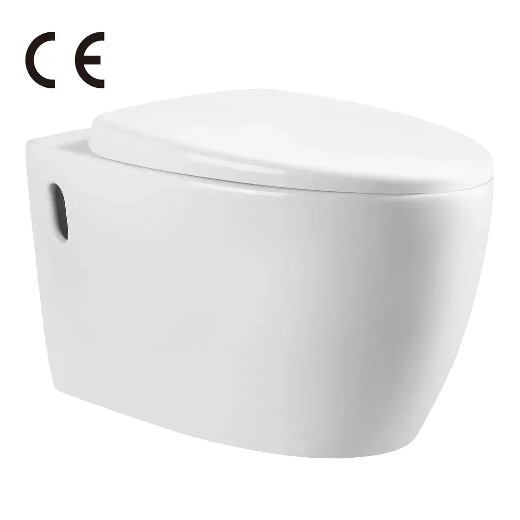 Bán buôn Bồn cầu treo tường Ceramica chất lượng cao, đạt tiêu chuẩn CE hình ảnh 11-description