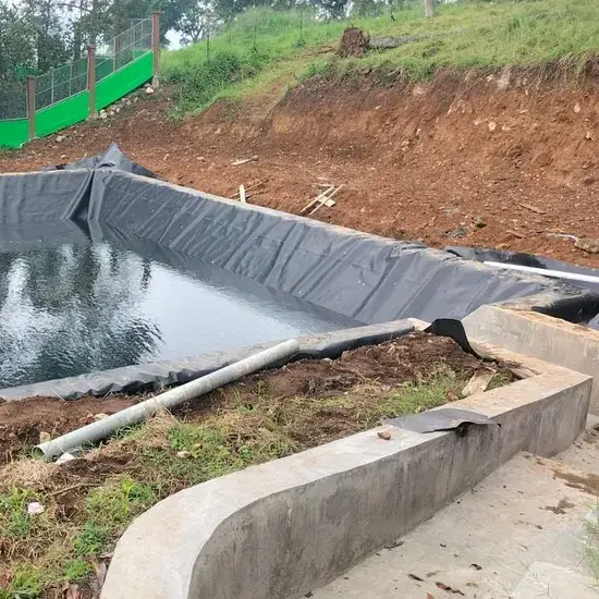 Màng Chống Thấm LDPE từ 0.75mm đến 2.5mm - Lựa Chọn Sản Phẩm Chất Lượng hình ảnh 1-description