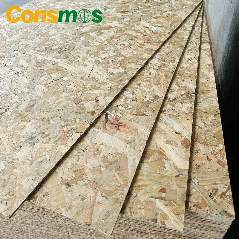 Bảng ván ép chống nước WBP từ gỗ poplar: Lựa chọn tốt cho nội thất và vật liệu xây dựng
