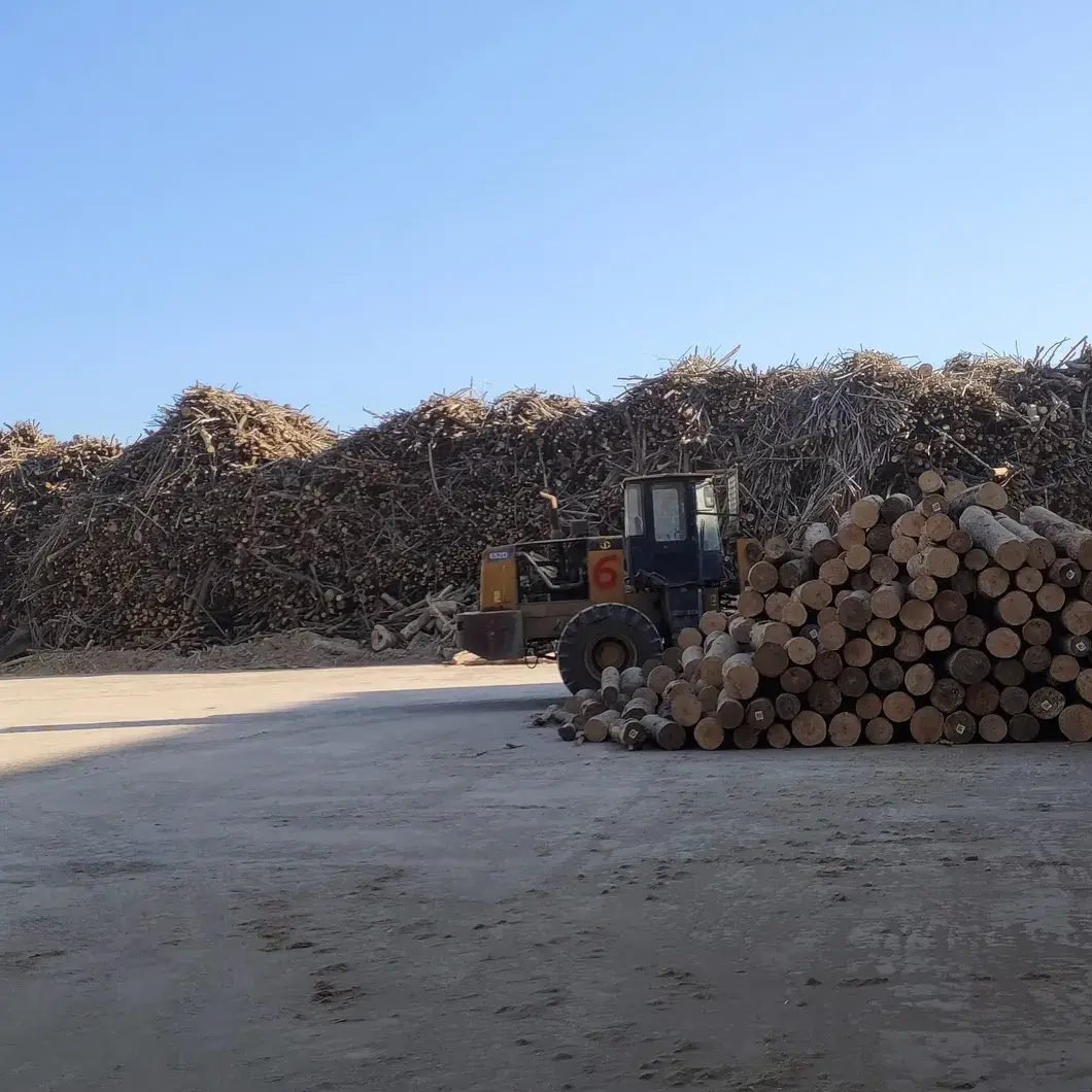 Ván MDF với giá sỉ từ các nhà sản xuất Trung Quốc hình ảnh 13-description