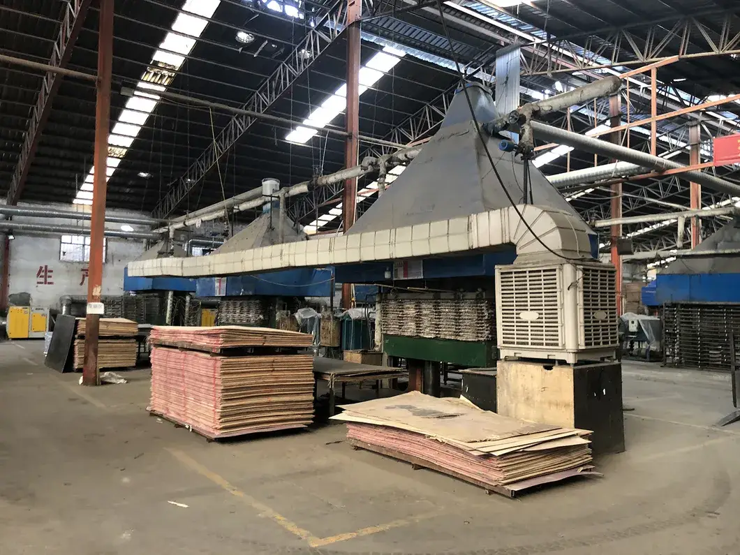 Bảng gỗ gỗ Bctroy 4X8 trắng Btic Birch phù hợp cho trang trí nội thất và đồ chơi hình ảnh 19-description