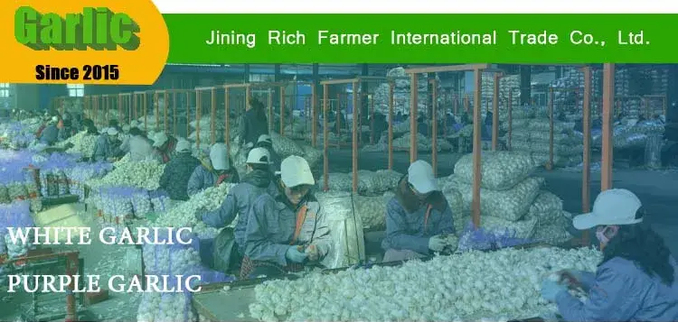 Thỏa mãn nhu cầu với tỏi thu hoạch từ Trung Quốc, kích thước 4.5cm, hàng nhập khẩu Kenya hình ảnh 12-description