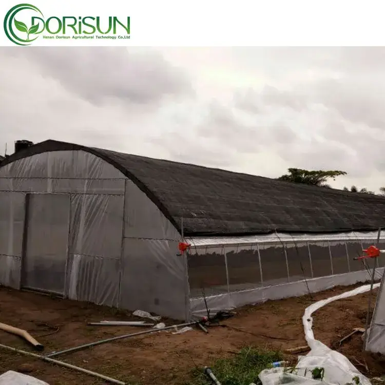 Nhà kính nông nghiệp vòm đơn cổ điển màu đen - Sản phẩm chất lượng từ Trung Quốc