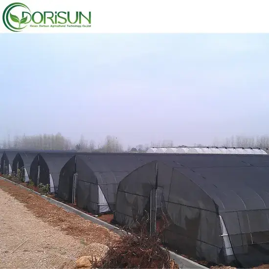 Nhà kính nông nghiệp vòm đơn cổ điển màu đen - Sản phẩm chất lượng từ Trung Quốc