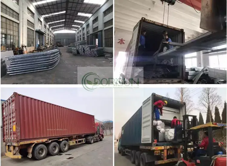Nhà kính nông nghiệp vòm đơn cổ điển màu đen - Sản phẩm chất lượng từ Trung Quốc hình ảnh 23-description