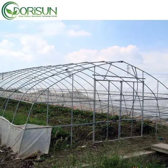 Nhà kính nông nghiệp vòm đơn cổ điển màu đen - Sản phẩm chất lượng từ Trung Quốc