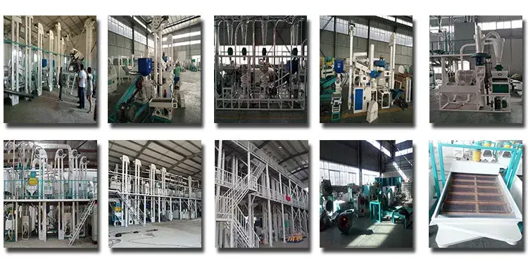 Dòng sản phẩm máy xay bột ngô của nhà sản xuất Trung Quốc - Sự lựa chọn hoàn hảo cho sản xuất bột ngô hình ảnh 13-description