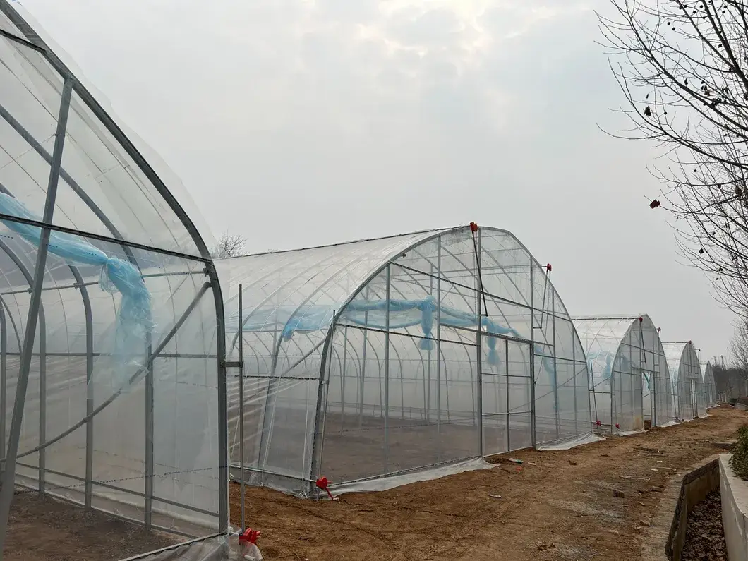 Chất liệu LDPE chống tia UV sản xuất từ Trung Quốc dành cho lưới che nắng trong nông nghiệp hình ảnh 12-description