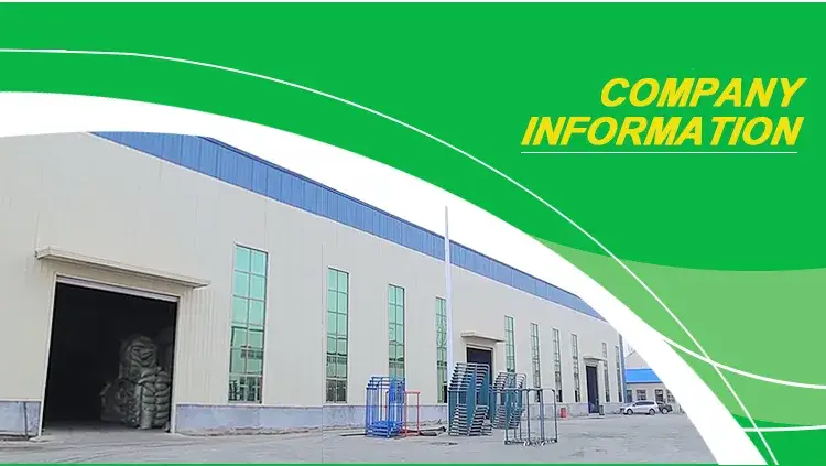 Tỏi tươi chất lượng, xuất xứ Trung Quốc 2024 hình ảnh 25-description