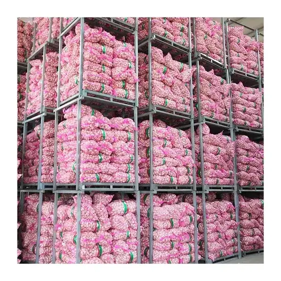 Tỏi tươi chất lượng, xuất xứ Trung Quốc 2024