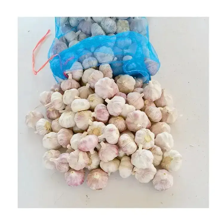 Tỏi tươi chất lượng, xuất xứ Trung Quốc 2024 hình ảnh 19-description