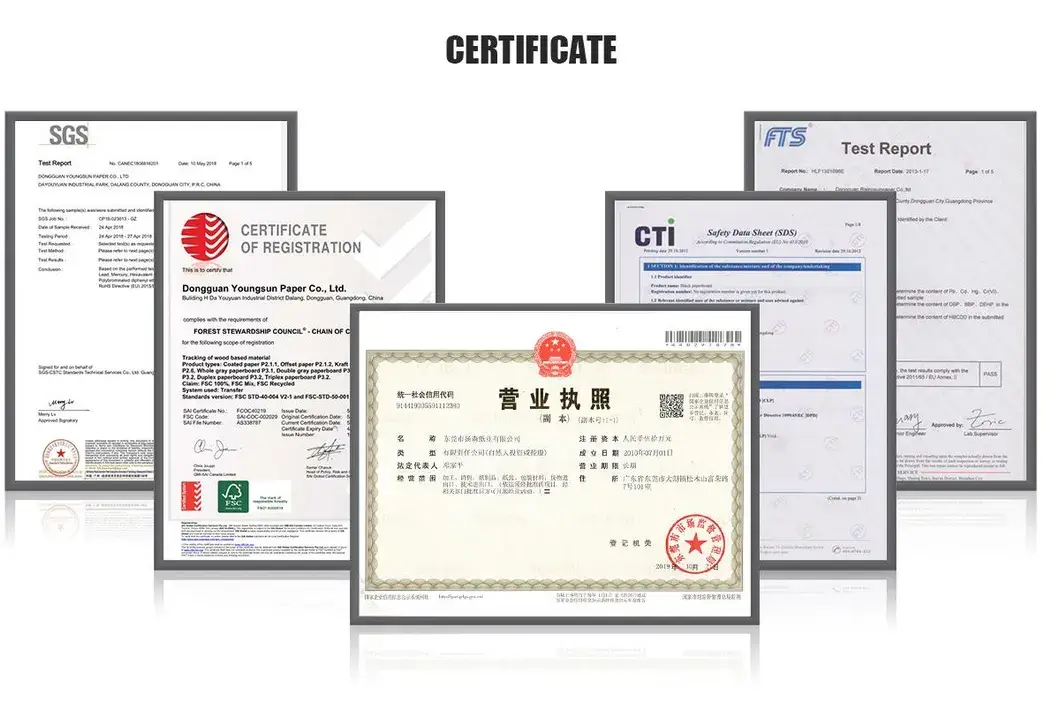 Bảng trắng độ dày 230GSM, 250GSM, 300GSM, 350GSM với lớp phủ màu xám ở mặt sau hình ảnh 18-description