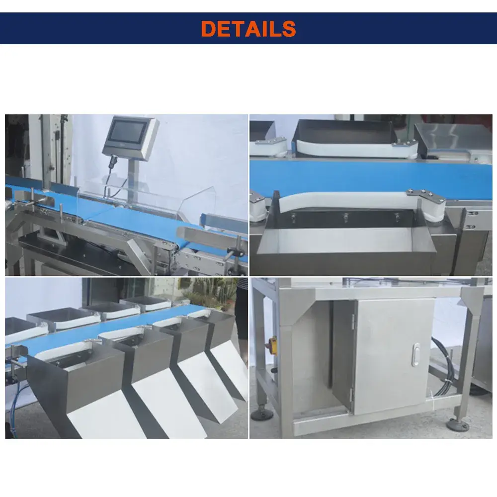 Thiết bị phân loại cá và tôm hùm theo trọng lượng cho ngành thủy sản