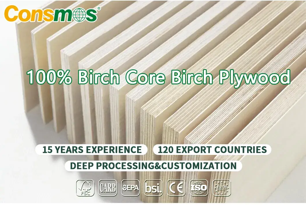 Bảng Plywood Bạch Dương Cao Cấp Consmos: Sản phẩm 3mm/12mm/15mm/18mm tại Philippines hình ảnh 12-description