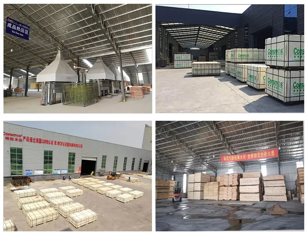 Bảng Plywood Bạch Dương Cao Cấp Consmos: Sản phẩm 3mm/12mm/15mm/18mm tại Philippines hình ảnh 30-description