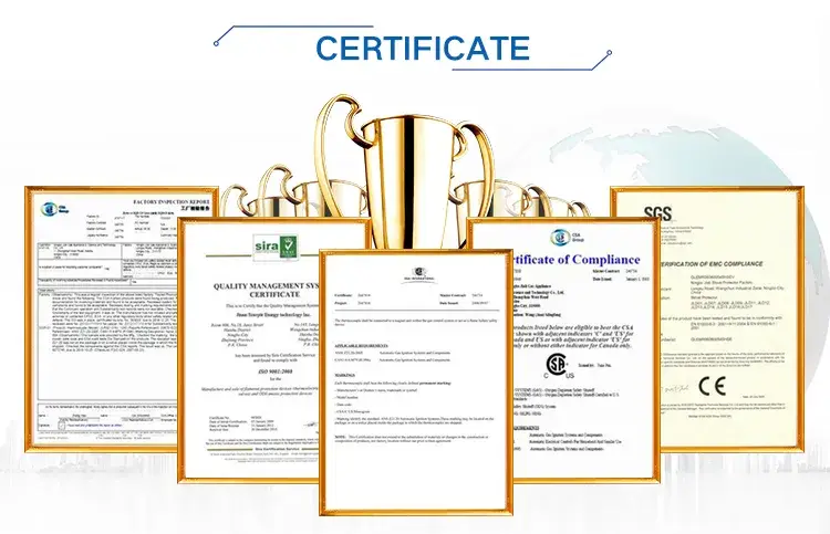 Bộ phận lò nướng dành cho thiết bị nấu ăn với van từ tính và van khí của Geyer hình ảnh 11-description