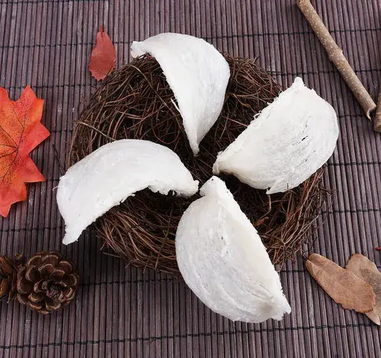 Bột axit sialic: Thành phần quan trọng trong sản phẩm làm đẹp