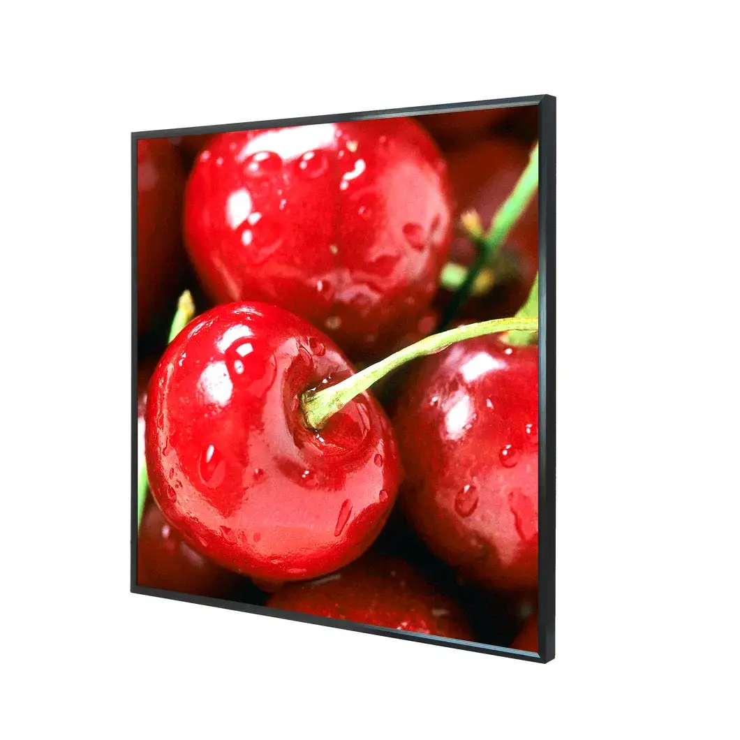 Màn hình hiển thị cảm ứng LCD tùy chỉnh chống chói cho sân bay, metro/bus từ 15 đến 49.5 inch hình ảnh 29-description