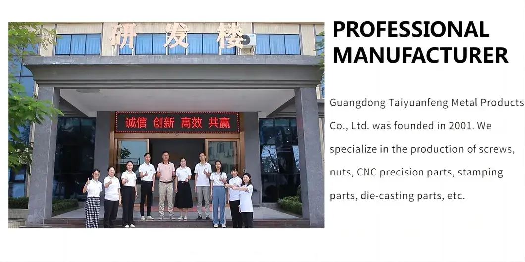 Bộ sản phẩm bù lông đầu T dài mạ kẽm đen tùy chỉnh với lớp nylon chất lượng hình ảnh 15-description