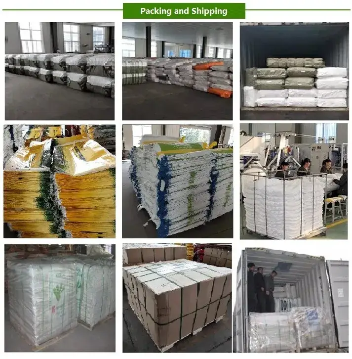 Túi đóng gói 25kg thạch cao vôi PP có van nhiệt in theo yêu cầu - lựa chọn hàng đầu cho sản phẩm của bạn hình ảnh 34-description