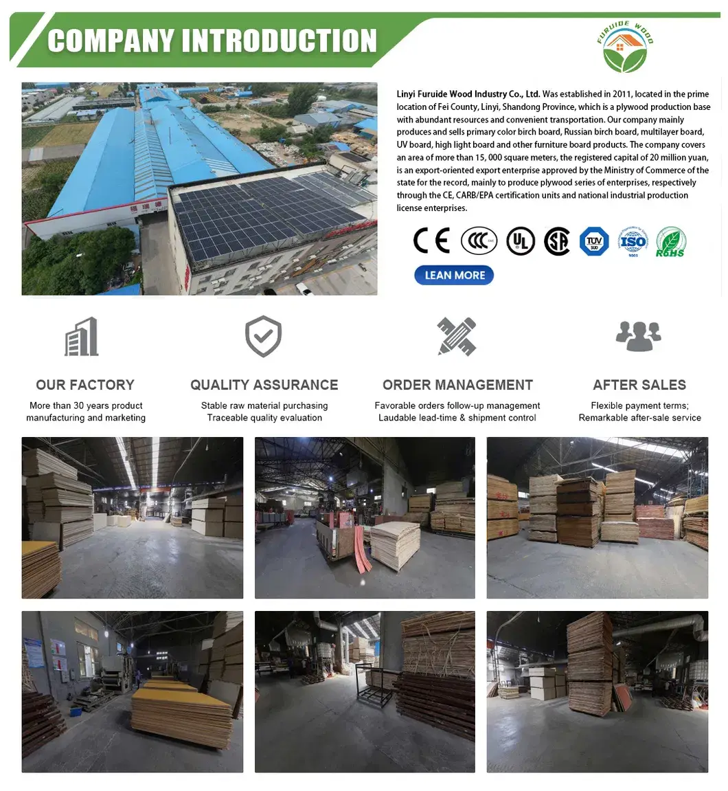 Bảng MDF Chống Nước Tùy Chỉnh cho Nội Thất và Trang Trí - Nhà Sản Xuất Hàng Đầu hình ảnh 26-description