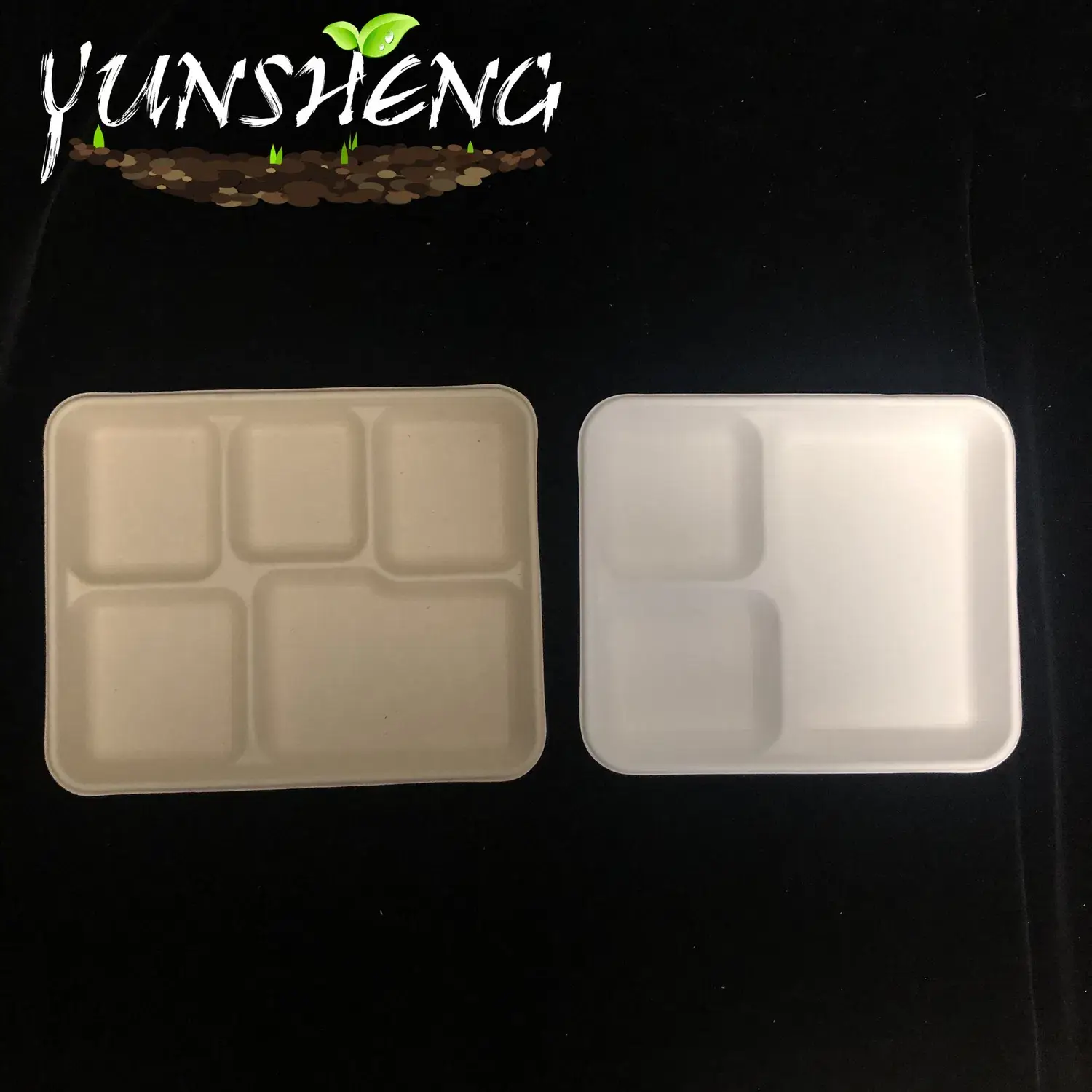 Khay bảo vệ môi trường phân hủy từ nguyên liệu tự nhiên có thể tùy chỉnh kích thước và màu sắc