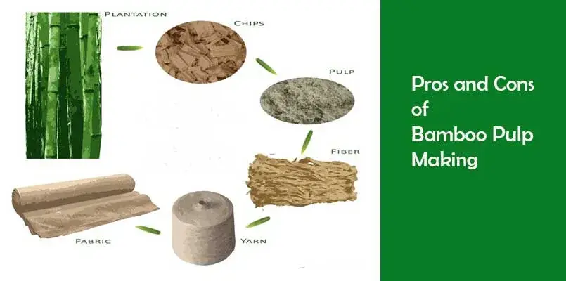 Khay bảo vệ môi trường phân hủy từ nguyên liệu tự nhiên có thể tùy chỉnh kích thước và màu sắc hình ảnh 19-description