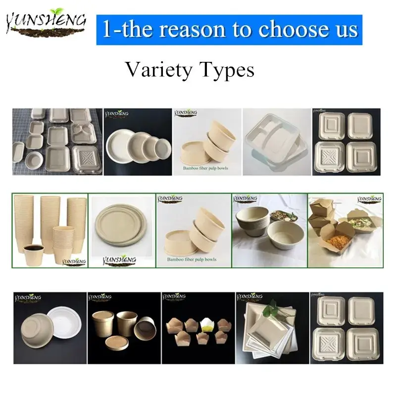 Khay bảo vệ môi trường phân hủy từ nguyên liệu tự nhiên có thể tùy chỉnh kích thước và màu sắc hình ảnh 22-description
