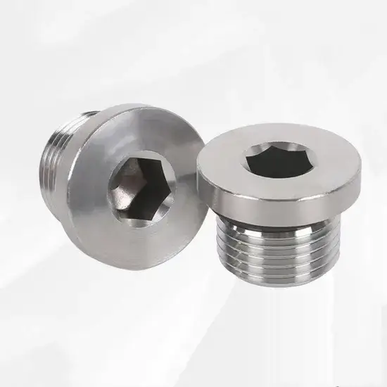 DIN 908 Ren cái nam kích thước mét M12 M14 M16 M18 M20 M22*1.5 Nút hình lục giác bằng thép không gỉ đi kèm O-Ring