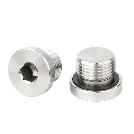 DIN 908 Ren cái nam kích thước mét M12 M14 M16 M18 M20 M22*1.5 Nút hình lục giác bằng thép không gỉ đi kèm O-Ring