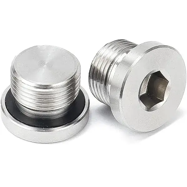 DIN 908 Ren cái nam kích thước mét M12 M14 M16 M18 M20 M22*1.5 Nút hình lục giác bằng thép không gỉ đi kèm O-Ring