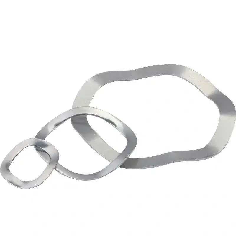 Ứng dụng của lò xo sóng đàn hồi bằng thép không gỉ DIN137 M3-M19 304 316 hình ảnh 21-description