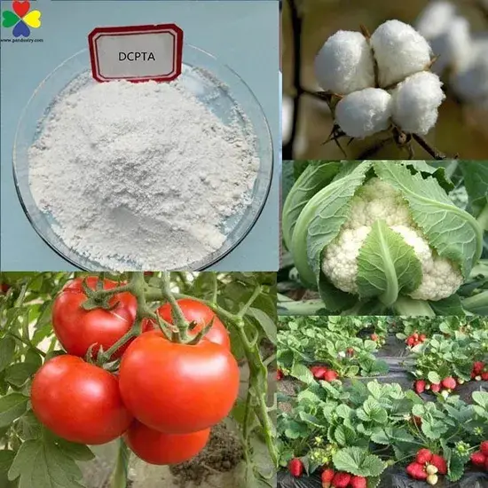 Đồng chất CAS No 65202-07-5: Hormone thực vật Dcpta cho cây trồng