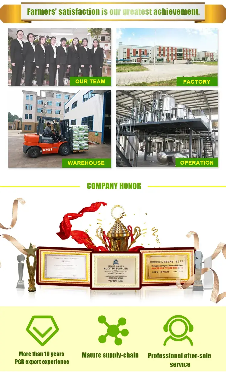 Tăng Trưởng Cây được Kích Thích bởi Hormone Dcpta - Phương Pháp hiệu quả để thúc đẩy phân chia tế bào và phát triển hình ảnh 17-description