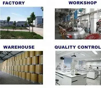 Tăng Trưởng Cây được Kích Thích bởi Hormone Dcpta - Phương Pháp hiệu quả để thúc đẩy phân chia tế bào và phát triển
